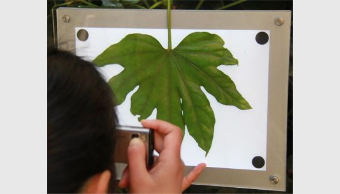 LA-S葉面積分析儀系統(高拍儀款),葉面積儀,葉面積測量儀,葉面積測定儀,便攜式活體葉面積儀