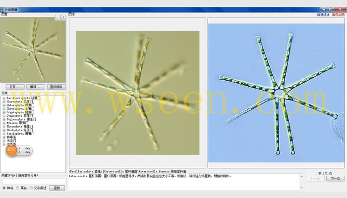 AlgaeAC-PF1型藻類自動(dòng)分類計(jì)數(shù)儀,藻密度自動(dòng)檢測儀,藻類分析儀,藻類計(jì)數(shù)儀