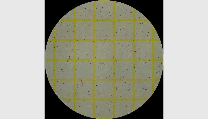 HiCC-D全自動菌落計數(shù)分析儀系統(tǒng),菌落計數(shù)儀,自動菌落計數(shù)儀,菌落計數(shù)器