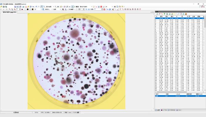 HiCC-S1全自動菌落計數及抑菌圈測量儀系統,菌落計數儀,抑菌圈測定儀